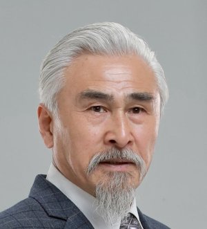 Feng Liping